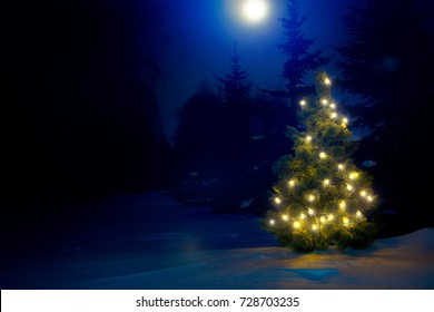 Decorated Christmas Tree Outdoor With Christmas Lights With Moon.