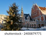 Decorated Christmas tree in the Town Hall Square in the winter. Old Riga city, Latvia. 