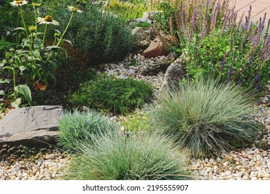 Decorated colorful flowerbed with stones as a decorative elements. Landscape design. High quality photo