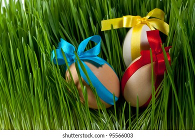 decorated easter eggs in the green grass