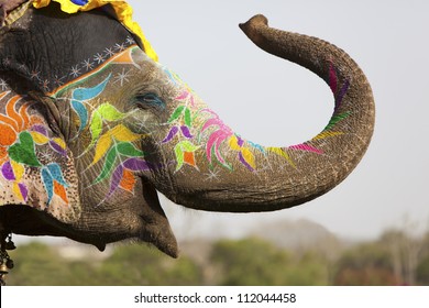 Decorated elephant at the annual elephant festival in Jaipur, India.
