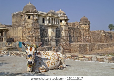 Decorated holy cow lying in front of an ancient ruined palace ((Pratap Palace). Chittaugarh, Rajasthan, India