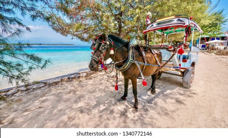 A decorated horse drawn cart known as a cidomo, on Gili Meno island in Lombok province, Indonesia. Motorized vehicles are banned in the Gili islands. - Powered by Shutterstock