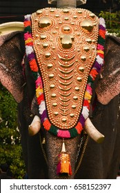 Kerala Elephant Images Stock Photos Vectors Shutterstock