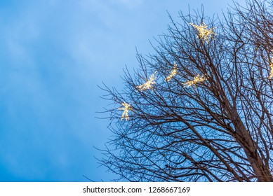 Decorated Real Christmas Tree Outside With Lights Covered With Copy Space For Editing