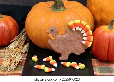 Decorated Turkey Cookie With A Candy Corn Tail For Thanksgiving In An Autumn Setting.