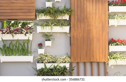 Decorated Wall Vertical Garden 