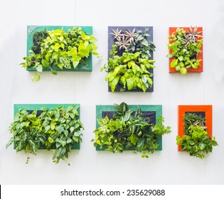 Decorated Wall Vertical Garden Idea In The City