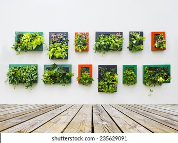 Decorated Wall Vertical Garden Idea In The City