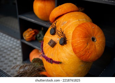 Decorating Autumn Pumpkins At Home. Traditional Thanksgiving And Halloween Decor. Goods Of The Autumn