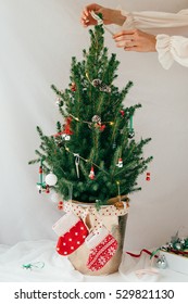 Decorating Miniature Real Christmas Tree With Vintage Decorations