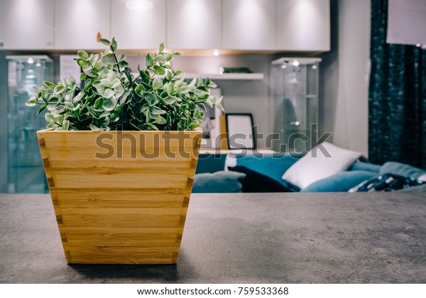 Decoration Artificial Plants Living Room Stock Photo Edit