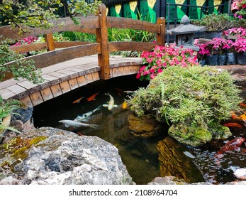 Decoration Design With Koi Pond And Wood Bridge In Garden 