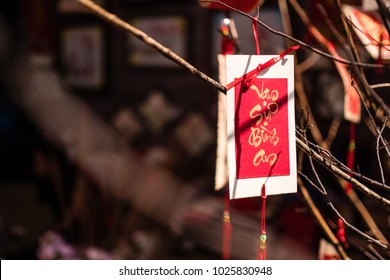 Decoration item on the tree branch with Vietnamese calligraphy text means " Wish Best Luck" for celebrating Lunar New Year. It's also called Tet holidays in Vietnam.
