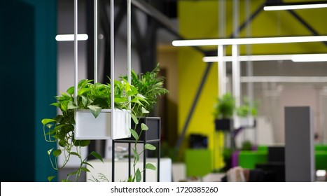 Decoration modern office interior style green eco environmental with plants in pots - Powered by Shutterstock