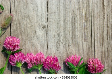 decoration with red clover flowers like a frame on the grey wooden background