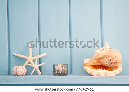 decoration with shellfish, beach style decoration