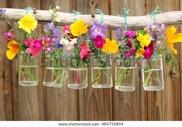 Decoration Various Fresh Flowers Glass Vases Stock Photo Edit Now