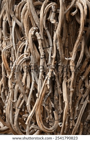 decorations made of dry wood elements near a public catering establishment