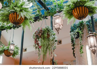 Decorations on the ceiling of the cafe