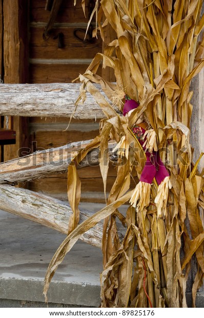 Decorations Using Scare Crow Corn Stalks Stock Photo Edit Now