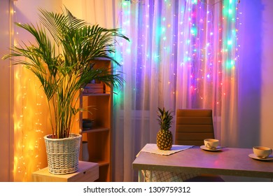 Decorative Areca Palm In Room Near Window With Fairy Lights