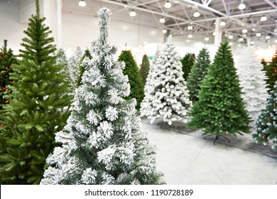 Decorative Artificial Christmas Trees In The Store