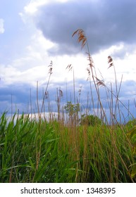 decorative background