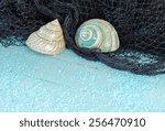 A decorative banded jade green and pearl turbo hermit  seashell and a fishnet