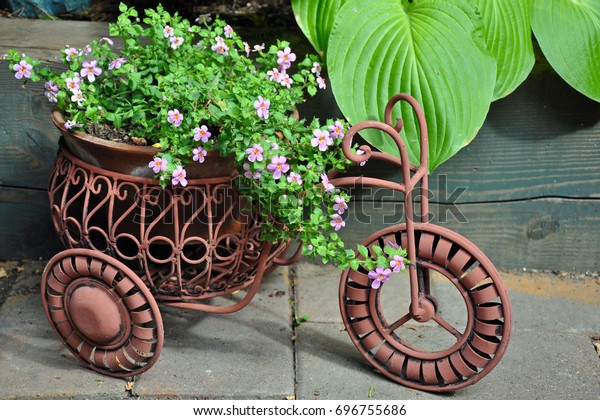 Decorative Bicycle Planter Little Pink Flowers Stock Photo Edit