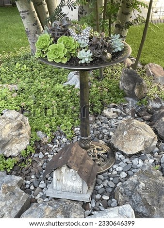 Decorative bird bath used to create un upscale succulent garden with a rustic birdhouse on the ground beneath the bird bath