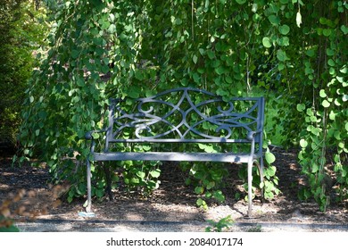 Decorative Black Metal Bench In The Shady Garden