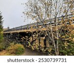 decorative bridge over gooseberry river