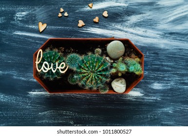 Decorative cactus on a blue background with small wooden hearts, top view, blank space for text