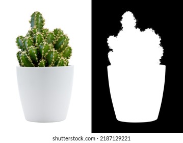Decorative cactus on white pot. Mask included. - Shutterstock ID 2187129221
