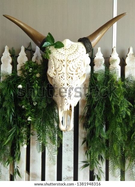 Decorative Cattle Skull Hanging On Fence Stock Photo Edit Now