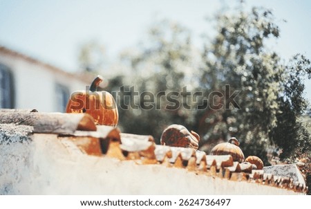 Decorative ceramic pumpkins placed on a traditional terracotta tile roof under a clear sky, captured in tilt-shift style with artistic blur and soft sunlight, evoking a cozy rustic atmosphere
