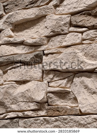 Decorative cladding panels replicating stone textures shown in a hardware store aisle for interior and exterior finishing applications