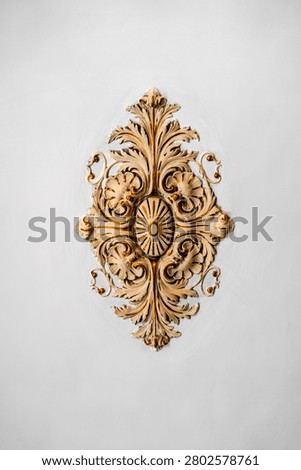 Decorative classical ceiling plaster cornices with intricate floral and foliate detailing, gold leaf accents