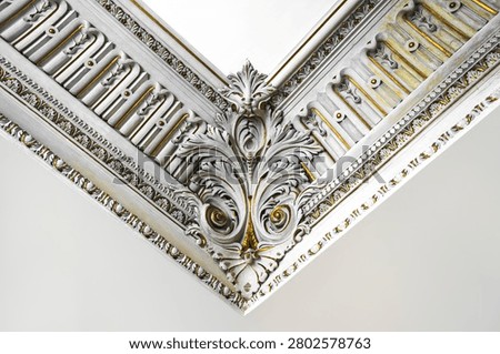Decorative classical ceiling plaster cornices with intricate floral and foliate detailing, gold leaf accents