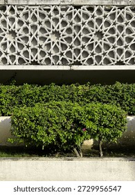 Decorative concrete wall pattern with green plants in modern urban design