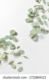 1,197 Eucalyptus corners Images, Stock Photos & Vectors | Shutterstock