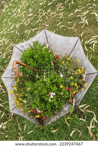 Wooden box filled with vegetables and flowers