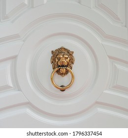 Decorative door handle in form of lion head on white door. Door knocker with lion
