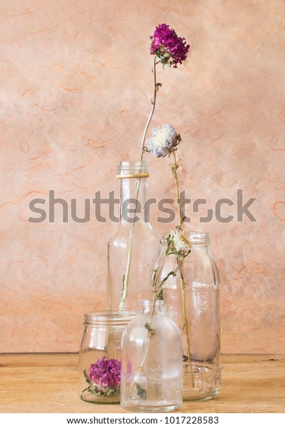 Decorative Dried Flowers Inside Glass Vase Royalty Free Stock Image