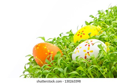 Decorative easter eggs in a grass