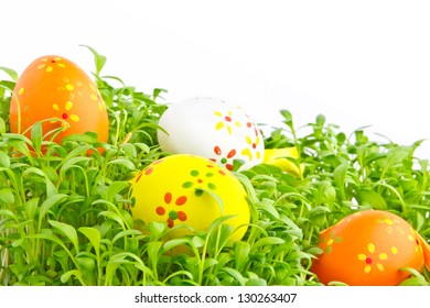 Decorative easter eggs in a grass