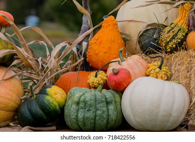 343,420 Pumpkins and squash Images, Stock Photos & Vectors | Shutterstock