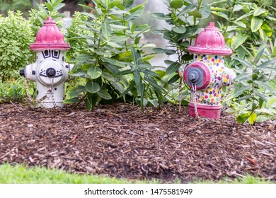 Fire Hydrant And Flowers Images Stock Photos Vectors Shutterstock