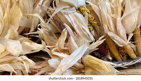 Decorative Flint Corn (Zea Mays Var. Indurata; Also Known As Indian Corn Or Sometimes Calico Corn) Is A Variant Of Maize, The Same Species As Common Corn. Great For Thanksgiving Table Setting.